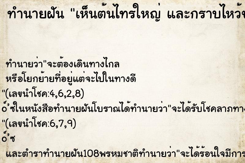 ทำนายฝันเห็นต้นไทรใหญ่และกราบไหว้ขอพร ทำนายฝันทำนายฝันเห็นต้นไทรใหญ่และกราบไหว้ขอพร